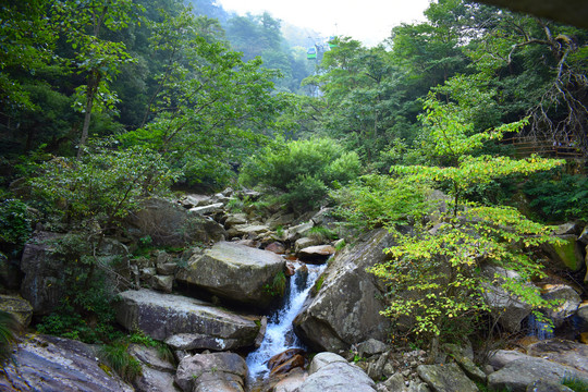 溪水风景