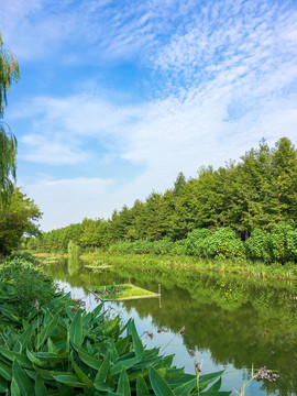 水清岸绿