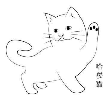 猫