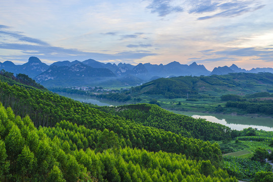 绿色山林
