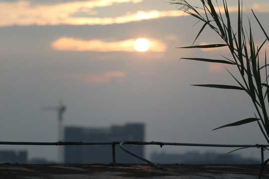 中山市横栏镇郊区风景