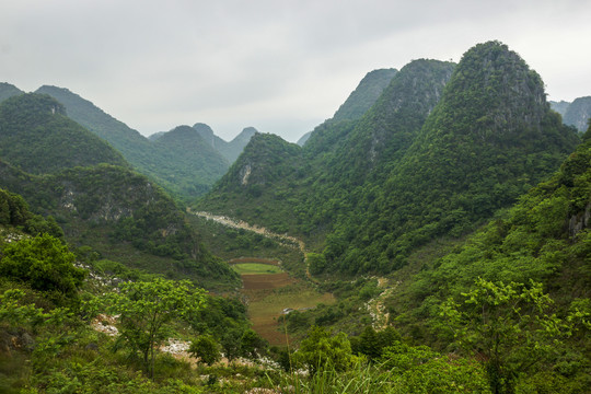 云南高山植被风光