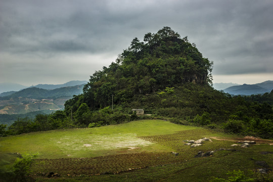 云南高山植被风光