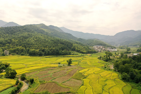 江西铅山秋色迷人