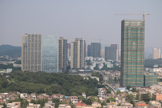 中山市紫马岭公园动物和风景图片