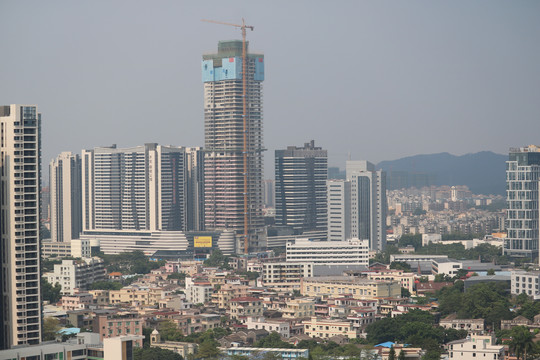 中山市紫马岭公园动物和风景图片