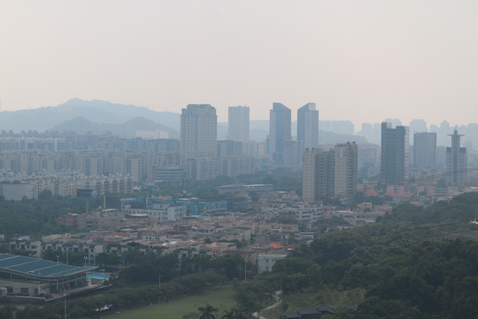 中山市紫马岭公园动物和风景图片