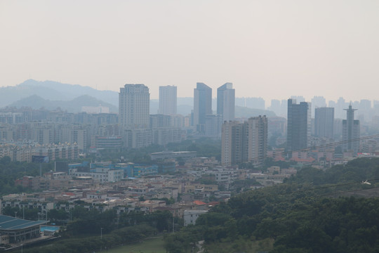 中山市紫马岭公园动物和风景图片