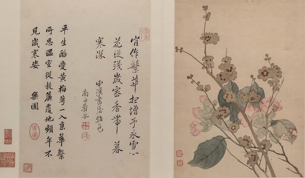 恽寿平清代恽寿平花卉国画