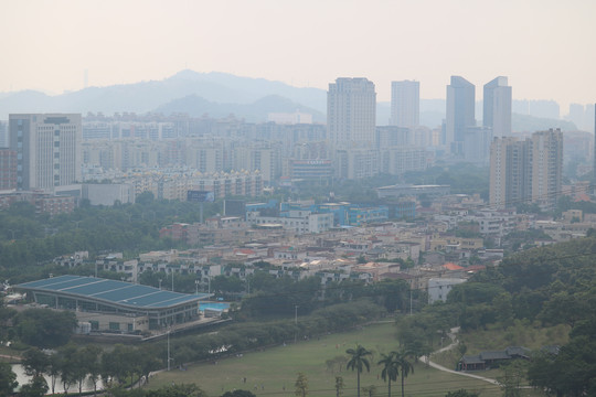 中山市紫马岭公园动物和风景图片