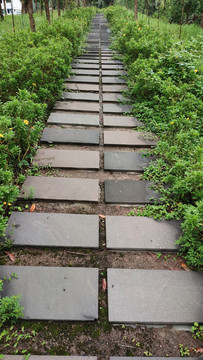 石板路园林