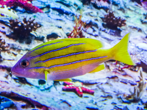 海洋水族馆