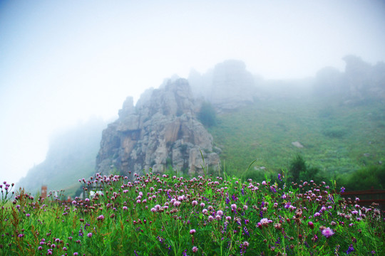 阿尔山玫瑰峰