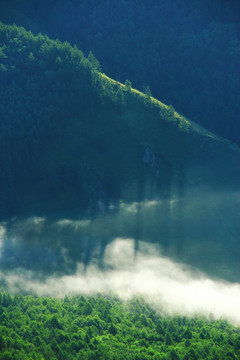 雾中山