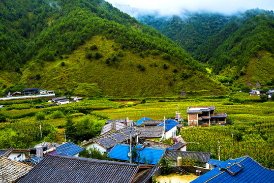 山村秋色风景