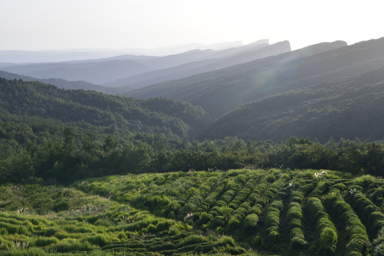 剑阁风光