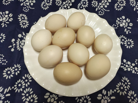一盆鸡蛋
