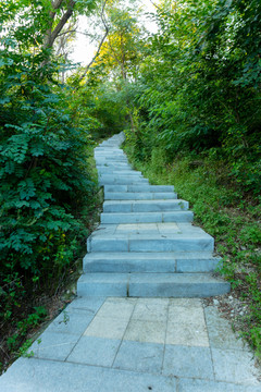 上山台阶