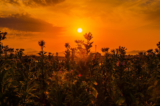 夕阳下的天空