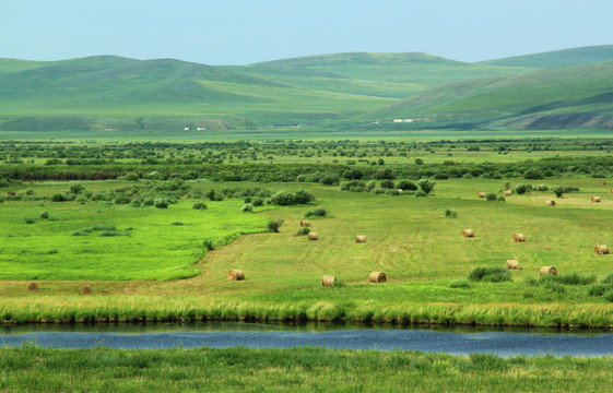 额尔古纳湿地