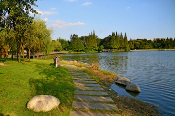 公园小道绿化风景