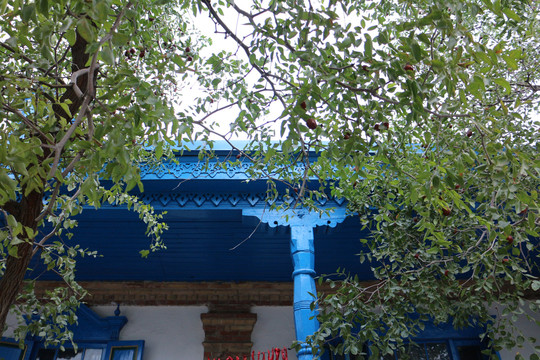 蓝色民居里的枣树