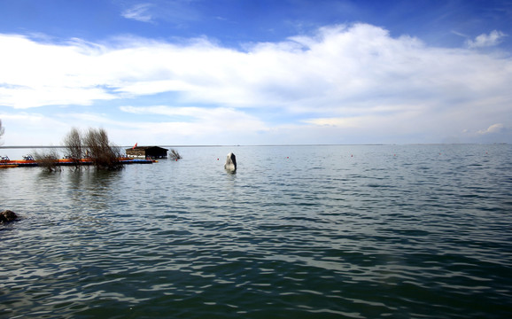 青海湖