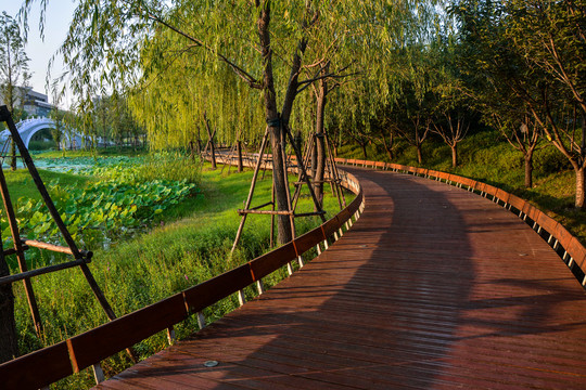 漯河小南湖公园