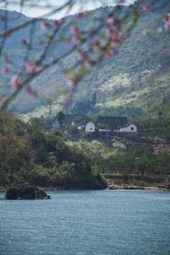 春日小村