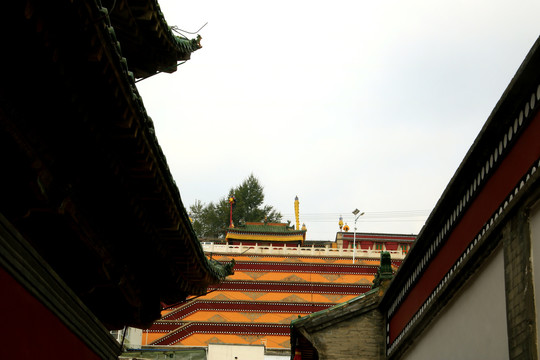 青海塔尔寺
