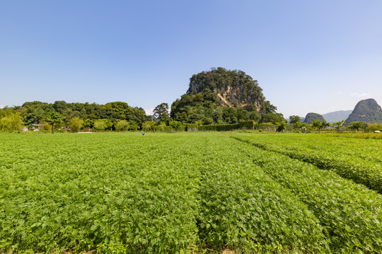 九龙峰林小镇景区绿色植被