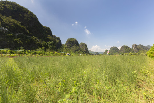 九龙峰林小镇景区绿色植被