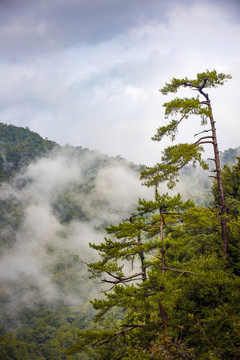广东第一峰山上跌落的云雾