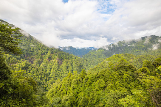 广东第一峰山上跌落的云雾