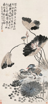 李鱓荷塘双禽图