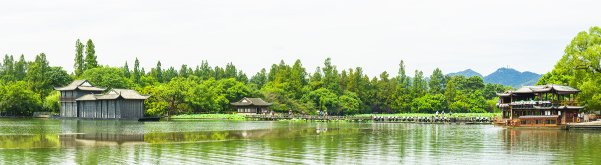 杭州西湖曲院风荷宽幅