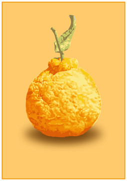 丑橘插图