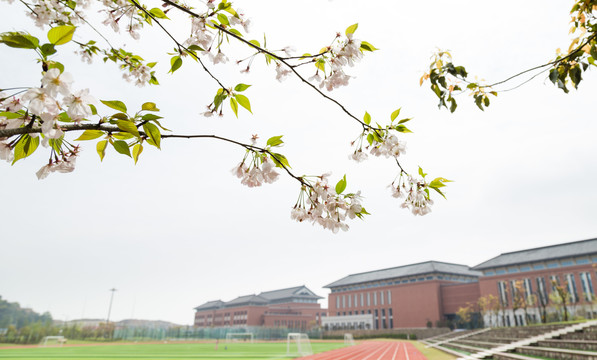 浙江大学舟山校区校园风景建筑