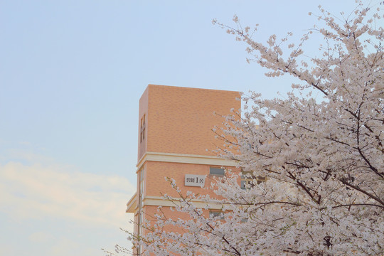 浙江大学紫金港校区校园风景建筑