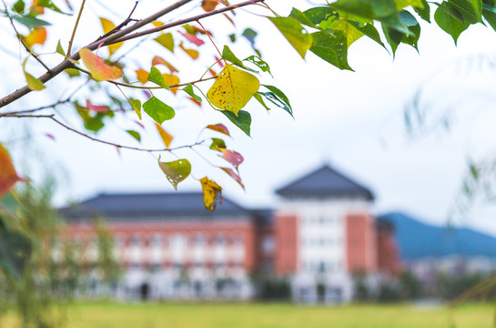 浙江大学舟山校区校园建筑风景