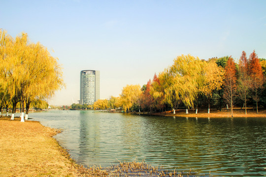 浙江大学紫金港校区校园风景建筑