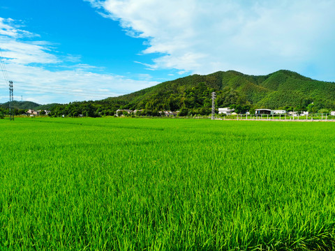 乡村田园