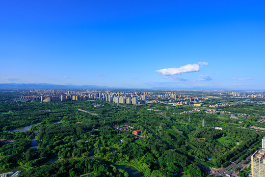 鸟瞰奥林匹克森林公园