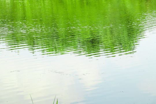 湖面水面水波纹