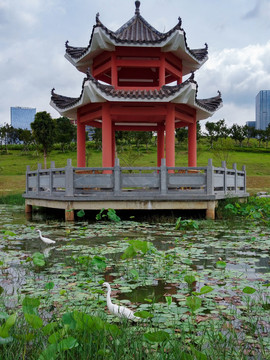 广西南宁五象湖桂象湖水景航拍