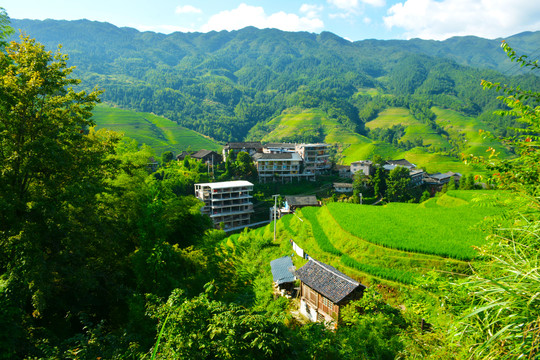 金坑大寨红瑶梯田风光