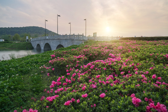 中国苏州公园的石拱桥和自然风光