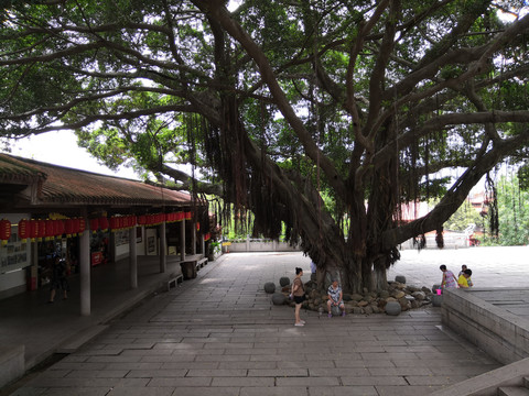 泉州少林寺景观