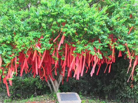 泉州少林寺景观