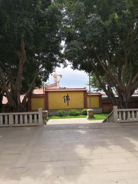 泉州少林寺景观